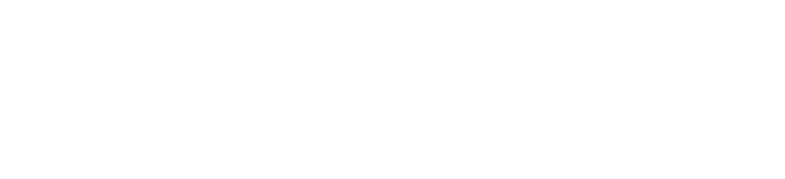 Motelize